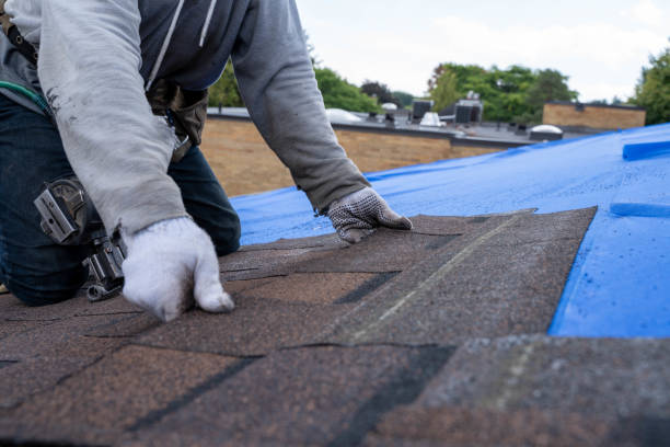Best Roof Leak Repair  in Sully Square, VA