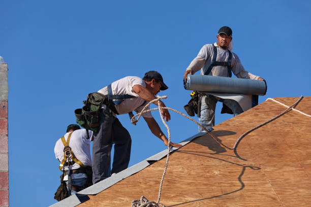 Best Gutter Installation and Roofing  in Sully Square, VA