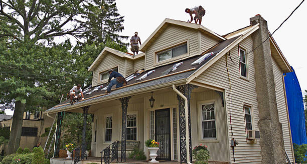 Best Roof Gutter Cleaning  in Sully Square, VA